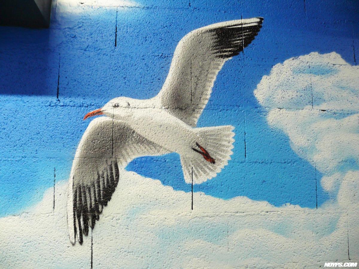 Graffiti fresque street art noyps la ciotat ardagh 19
