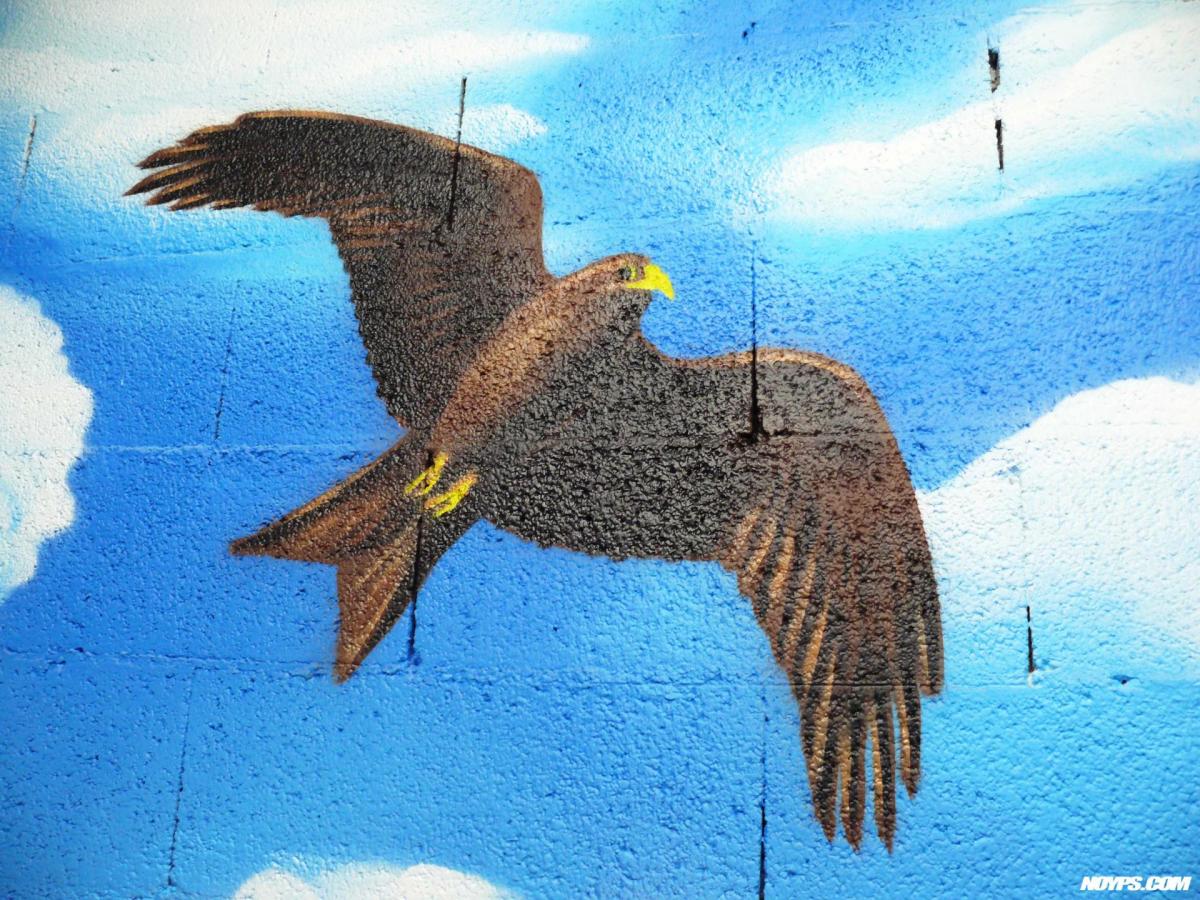 Graffiti fresque street art noyps la ciotat ardagh 20
