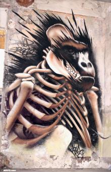 Graffiti street art marseille gorille noyps 2016 france